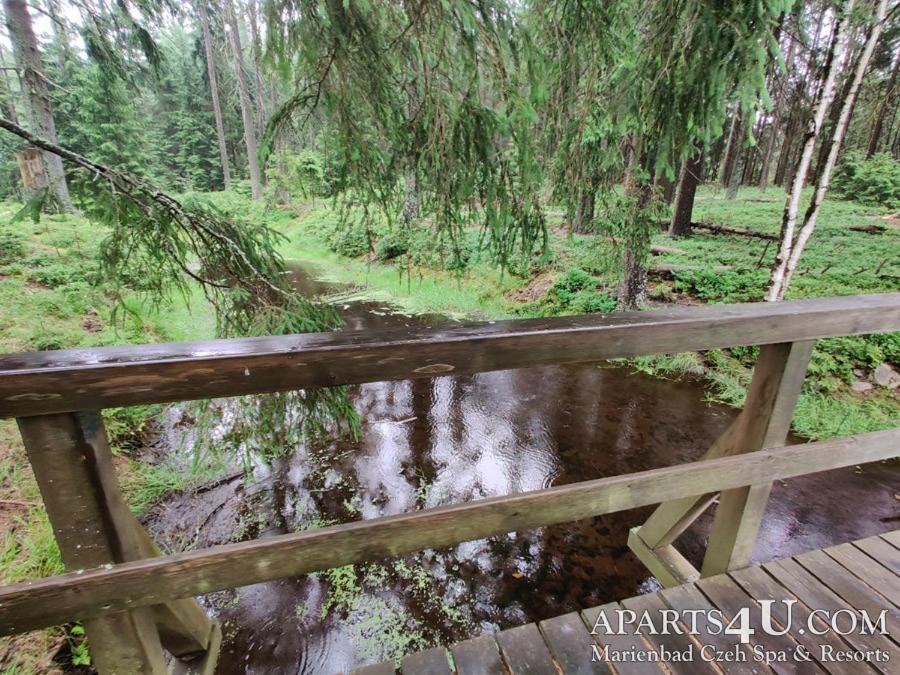 Apartment Grun Wald Mariánské Lázně Esterno foto